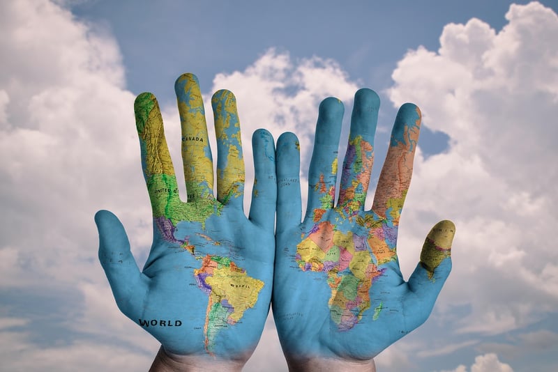 Explore international dishes