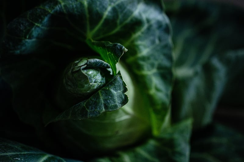 Veggie delights